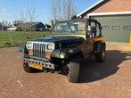 Jeep Wrangler 2.5i Voiture Voyageurs à toit souple 1996, Autos, Jeep, Euro 2, Achat, Entreprise, Cabriolet