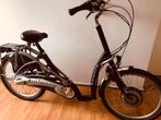 Van Raam Balans Electrische fiets, Ophalen of Verzenden, Gebruikt