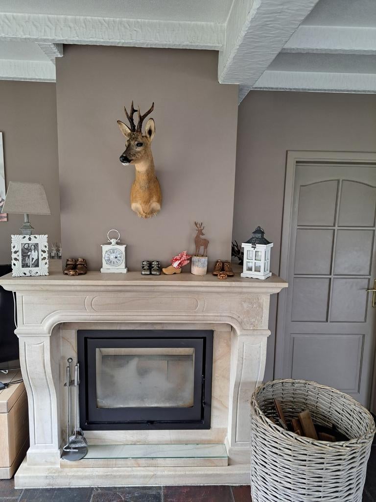 Recente opgezette Reebok verkeers slachtoffer, Verzamelen, Ophalen