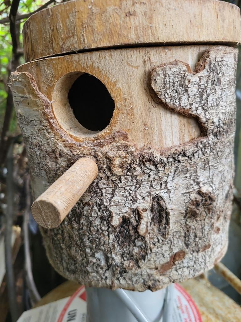 bloc en bouleau pour perruches, Animaux & Accessoires