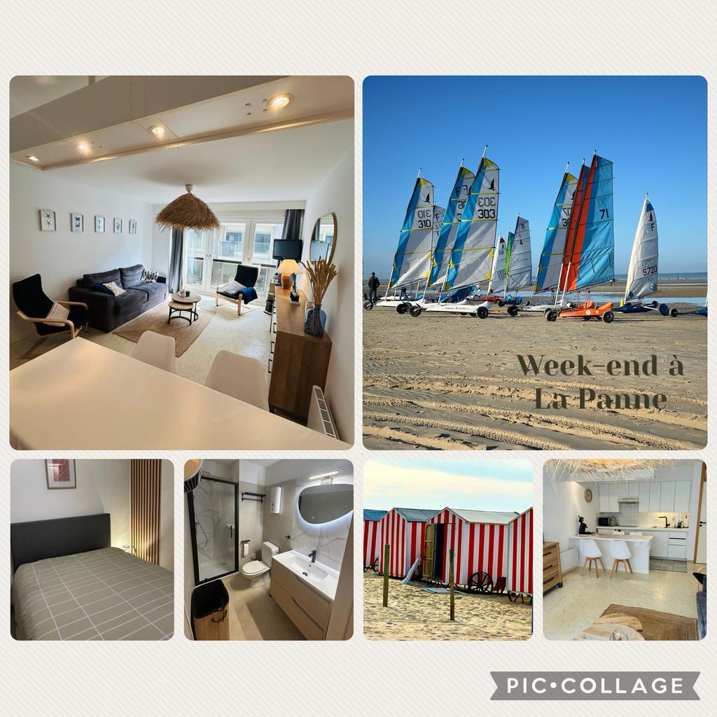 Ravissant appartement à La Panne, Immo, Appartements & Studios à louer, Province de Flandre-Occidentale