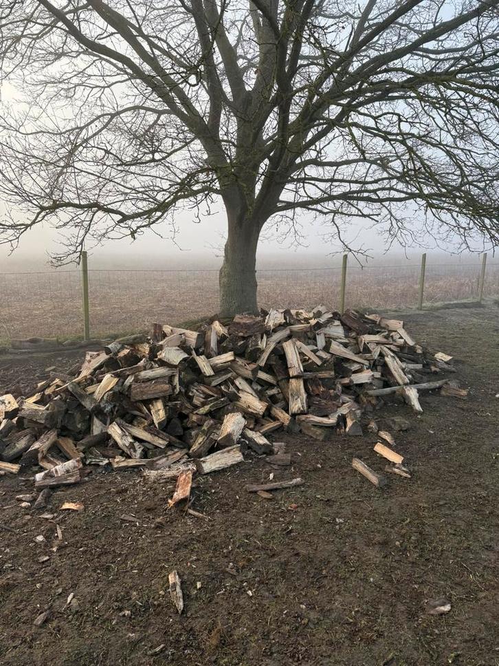 Brandhout droog en direct brandbaar, Tuin en Terras, Brandhout, Ophalen