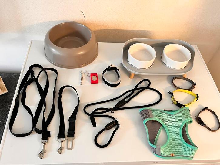 Honden spullen, Animaux & Accessoires, Laisses pour chiens, Comme neuf, Enlèvement