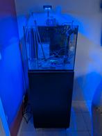 Aquarium Récifal Waterbox 76L - Complet, Animaux & Accessoires, Enlèvement