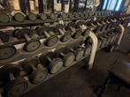 Technogym dumbell set compleet, Sport en Fitness, Ophalen