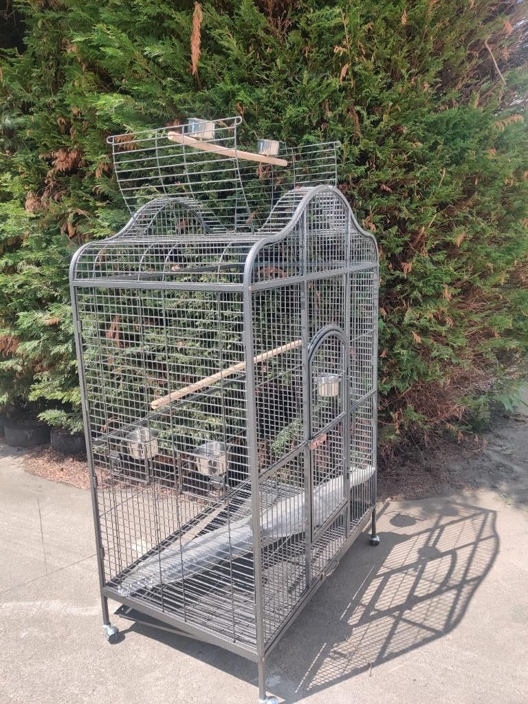 CAGE À PERROQUETS, VILLA POUR PERROQUETS, NOUVELLE, Enlèvement