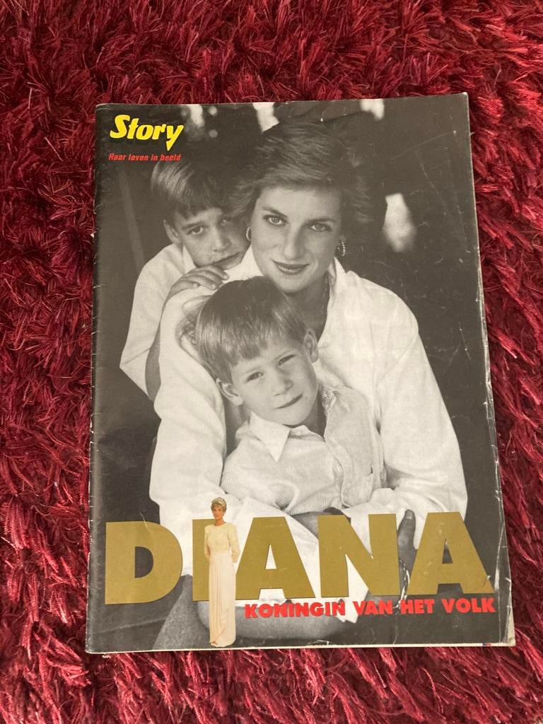 Diana, koningin van het volk, foto’s, Verzamelen, Koningshuis en Royalty, Ophalen, Zo goed als nieuw