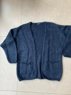 Donkerblauwe Vest-Gilet van grof breisel (Maat TU), Kleding | Dames, Made in Italy, Ophalen of Verzenden, Zo goed als nieuw, Blauw