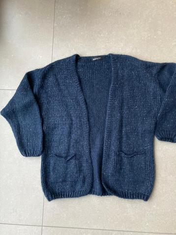 Donkerblauwe Vest-Gilet van grof breisel (Maat TU) beschikbaar voor biedingen