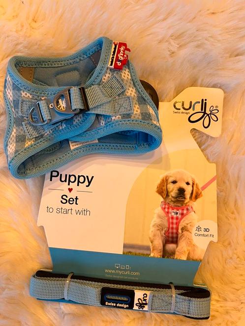 Hondenharnas curli set + riem voor puppy maat met dogfinder, Animaux & Accessoires, Accessoires pour chiens, Comme neuf, Enlèvement