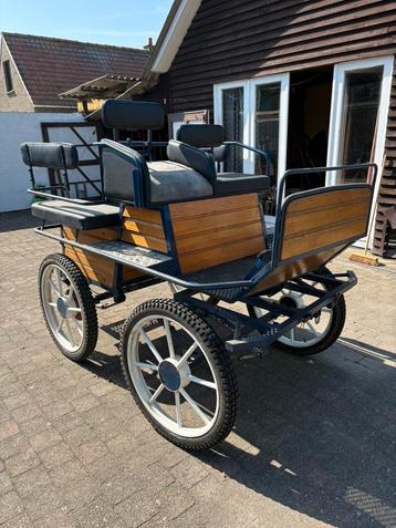 Veelzijdige Recreatiekoets voor Enkel- en Dubbelspan! beschikbaar voor biedingen