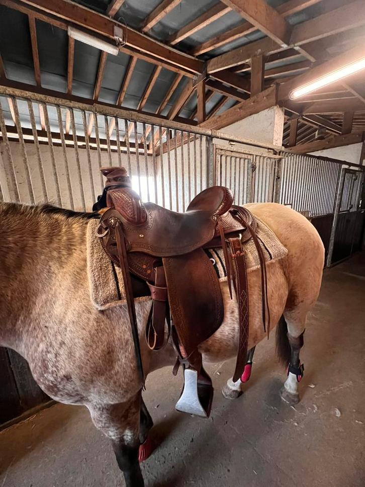 Mooi sterk west coast zadel, Dieren en Toebehoren, Paarden en Pony's | Verzorgingsproducten, Zo goed als nieuw, Ophalen