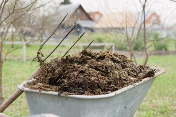 GRATIS zuivere paardemest op te halen beschikbaar voor biedingen