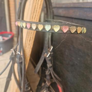 Hoofdstel pony beschikbaar voor biedingen