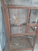 Cage oiseaux, Enlèvement, Utilisé, Bois, Cage à oiseaux