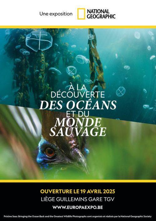 Tickets Exposition National Geographic liege guillemins, Tickets en Kaartjes, Evenementen en Festivals