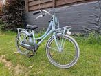 Alpina Cargo 20 inch, Fietsen en Brommers, Ophalen, Zo goed als nieuw