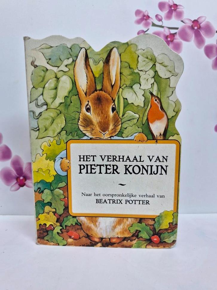 🐰 Boek: Pieter Konijn, Boeken, Sprookjes en Fabels, Ophalen of Verzenden