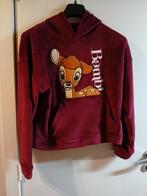 Sweater met capuchon Disney mt M, Kleding | Dames, Maat 38/40 (M), Ophalen of Verzenden, Zo goed als nieuw, Overige kleuren