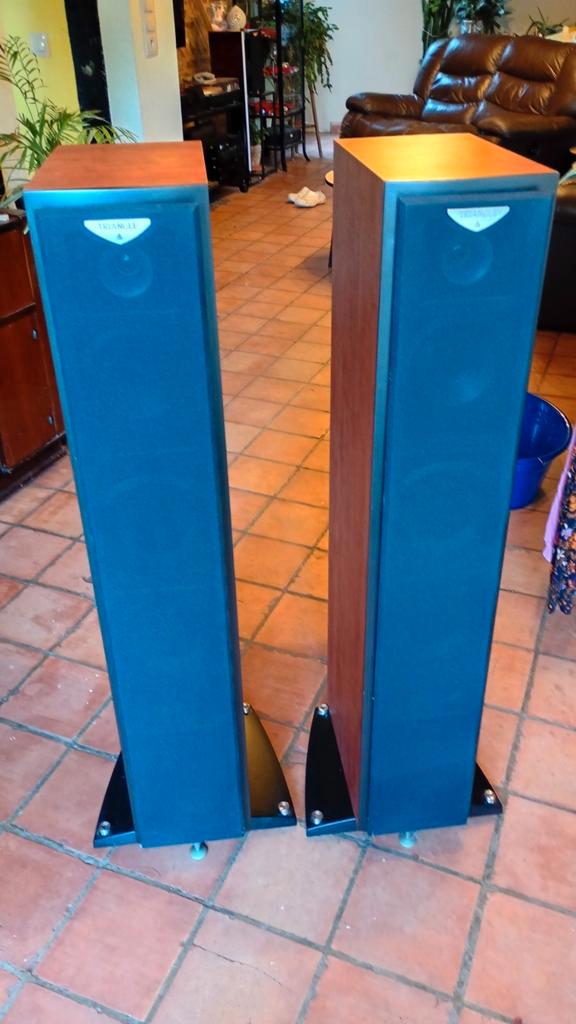 Triangle Antal EX, TV, Hi-fi & Vidéo, Enceintes, Comme neuf, Haut-parleurs Frontaux, Arrière ou Stéréo, 60 à 120 watts, Autres marques