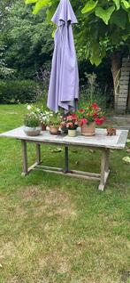 Tuintafel teak merk “ gloster”, Tuin en Terras, Tuintafels, Ophalen, Gebruikt, Rechthoekig, Hout