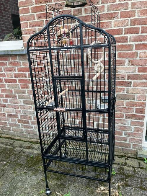 PAPEGAAIENKOOI MET OPEN DAK EN TOEBEHOREN NU 150 EURO, Dieren en Toebehoren, Vogels | Hokken en Kooien, Zo goed als nieuw, Volière