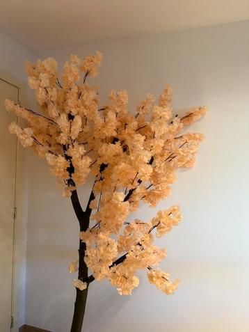 Beige bloesemboom beschikbaar voor biedingen