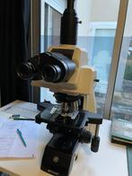 Microscope DELPHI X Observer trinoculaire, Audio, Tv en Foto, Optische apparatuur | Microscopen, Ophalen of Verzenden, Zo goed als nieuw