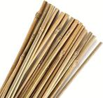 Canne en bambou, Enlèvement, Neuf