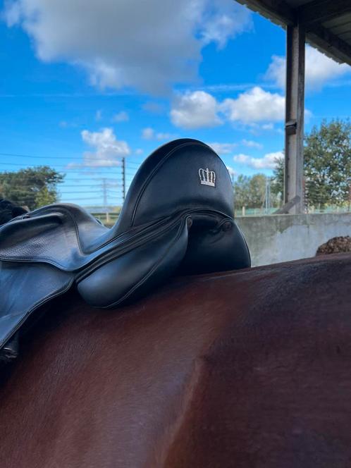 Kingsley D5 17,5 inch, Dieren en Toebehoren, Paarden en Pony's | Zadels, Zo goed als nieuw, Dressuur, Ophalen of Verzenden