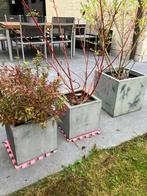 Bloempotten, Tuin en Terras, Bloempotten, Tuin, Vierkant, Zo goed als nieuw, Minder dan 40 cm