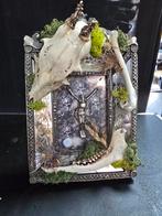 Prachtig uniek stuk met echte beenderen en schedel!, Ophalen