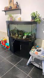 Visbak, Ophalen, Zo goed als nieuw