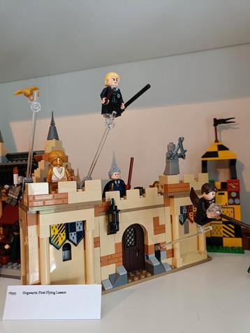 LEGO Harry Potter collectie beschikbaar voor biedingen