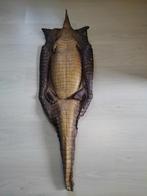 Vel krokodil, Ophalen, Gebruikt, Reptiel of Amfibie, Overige typen