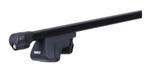 Thule 4901 dakdrager voetenset (past oa op Seat Altea XL), Ophalen, Gebruikt