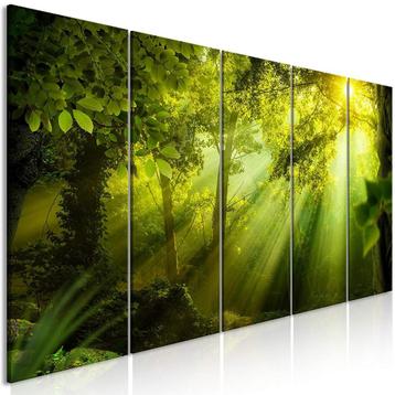 5 Delig schilderij op canvas Herfstbos Natuur 240 x 90 cm beschikbaar voor biedingen