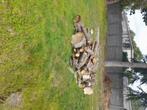 Brandhout spar, Tuin en Terras, Ophalen, Gebruikt