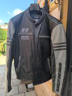 Harley Davidson jas, Motoren, Kleding | Motorkleding, Ophalen, Harley-Davidson, Heren, Jas | leer