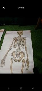 2 grote schoolkaarten ., Enlèvement