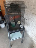 Cage oiseau, Ophalen, Gebruikt