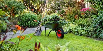 Entretien du jardin | Service de jardinage professionnel disponible aux enchères