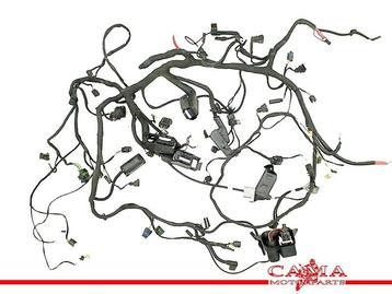 KABELBOOM BMW R 1200 RT 2005-2009 (R1200RT 05) beschikbaar voor biedingen
