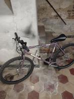 Deux vélos, Vélos & Vélomoteurs, Enlèvement, Utilisé