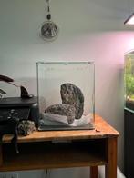 Dennerle 30 liter, Ophalen of Verzenden, Nieuw, Leeg aquarium