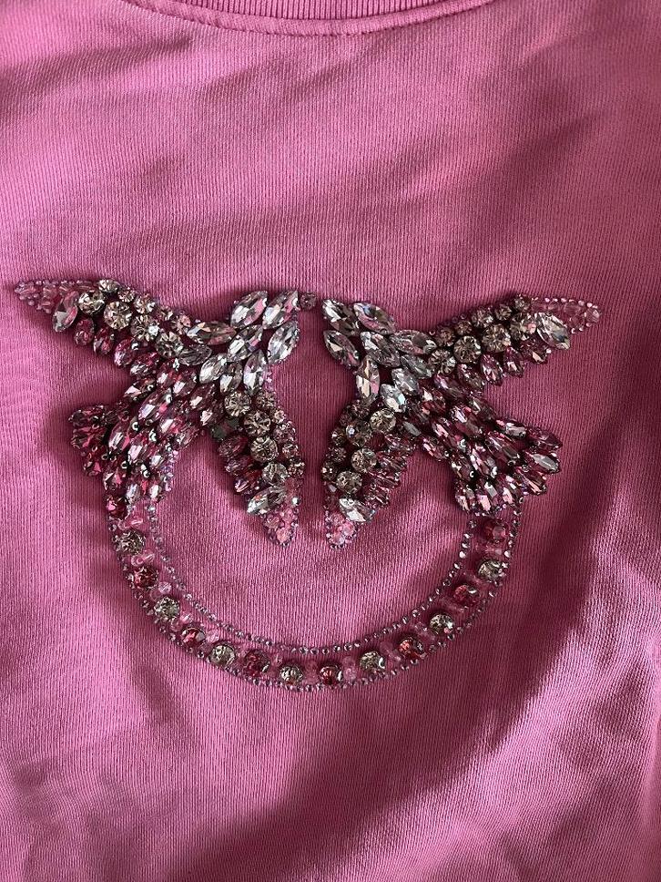 zalig mooie trui Pinko xxl grote stenen, Vêtements | Femmes, Pulls & Gilets, Comme neuf, Taille 46/48 (XL) ou plus grande, Rose