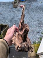 Kienhout, Enlèvement ou Envoi