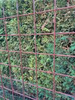 8x Treillis à beton 150x150 (5mX2m) 8mm, Jardin & Terrasse, Enlèvement, Utilisé, 20 mètres ou plus, Treillis