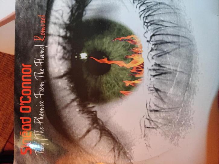 Muziek platen lp verzameling, Musique & Instruments, Musiques & Instruments Autre, Comme neuf, Enlèvement