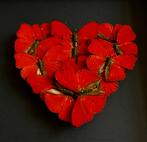 Coeur ''Red Love" de 12 papillons Cymothoe Sangaris cadre, Insecte, Animal empaillé, Enlèvement ou Envoi, Neuf